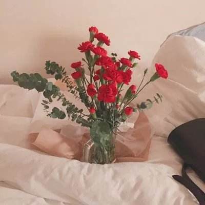 经典牛牛下载手机版